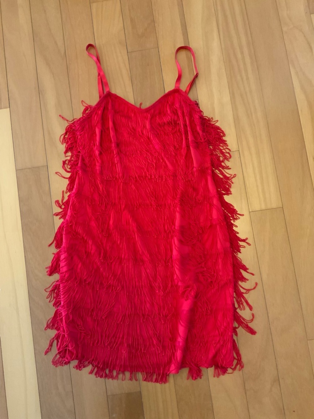 Frederick's of Hollywood Red Fringe Slip